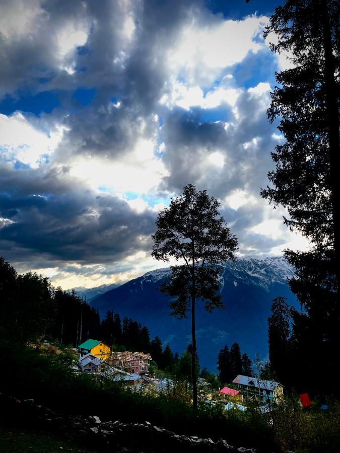 The Ivy House Sethan Homestay Manali (Himachal Pradesh)