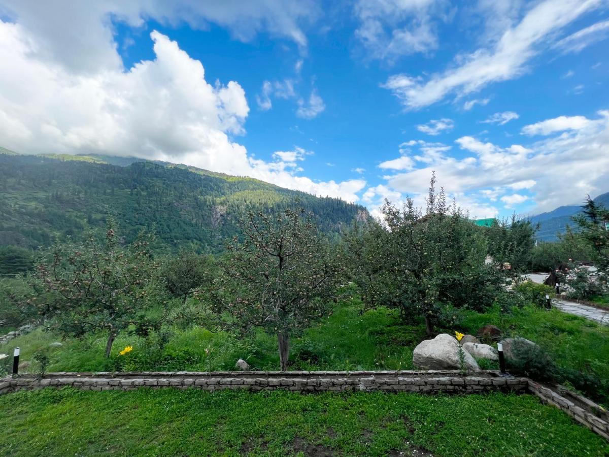 Villa Molly's Manali (Himachal Pradesh)