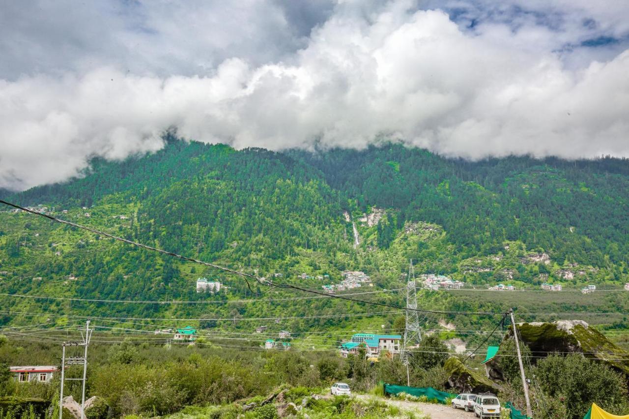 The Himalayan Alpine