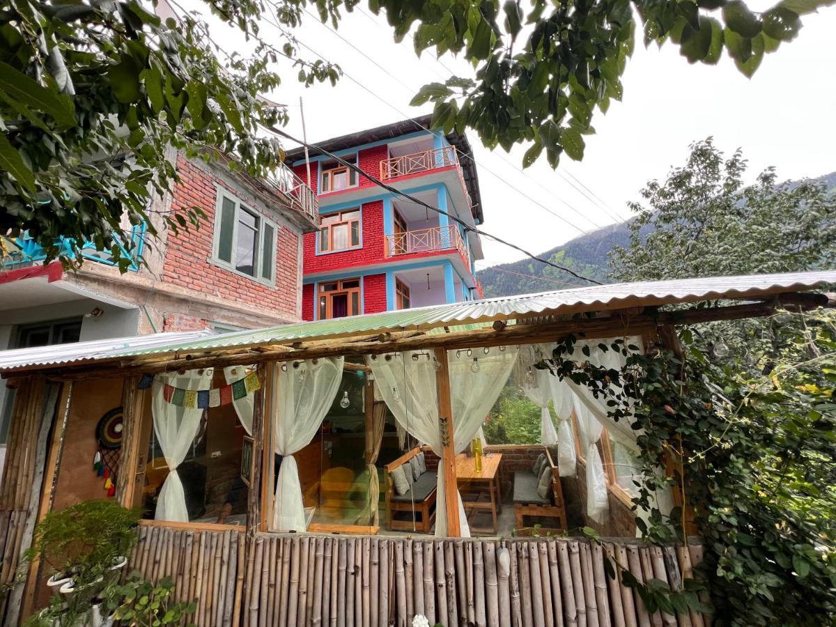 Yolo Backpackers - Hostel