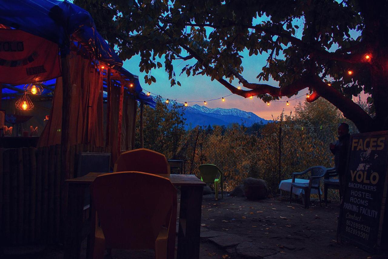 Hostel Yolo Backpackers -