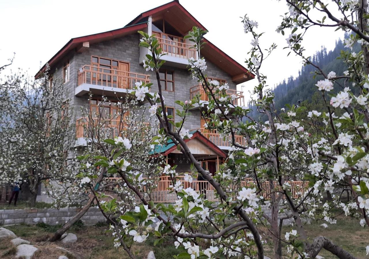 The Heaven'S Retreat 3* Manali (Himachal Pradesh)