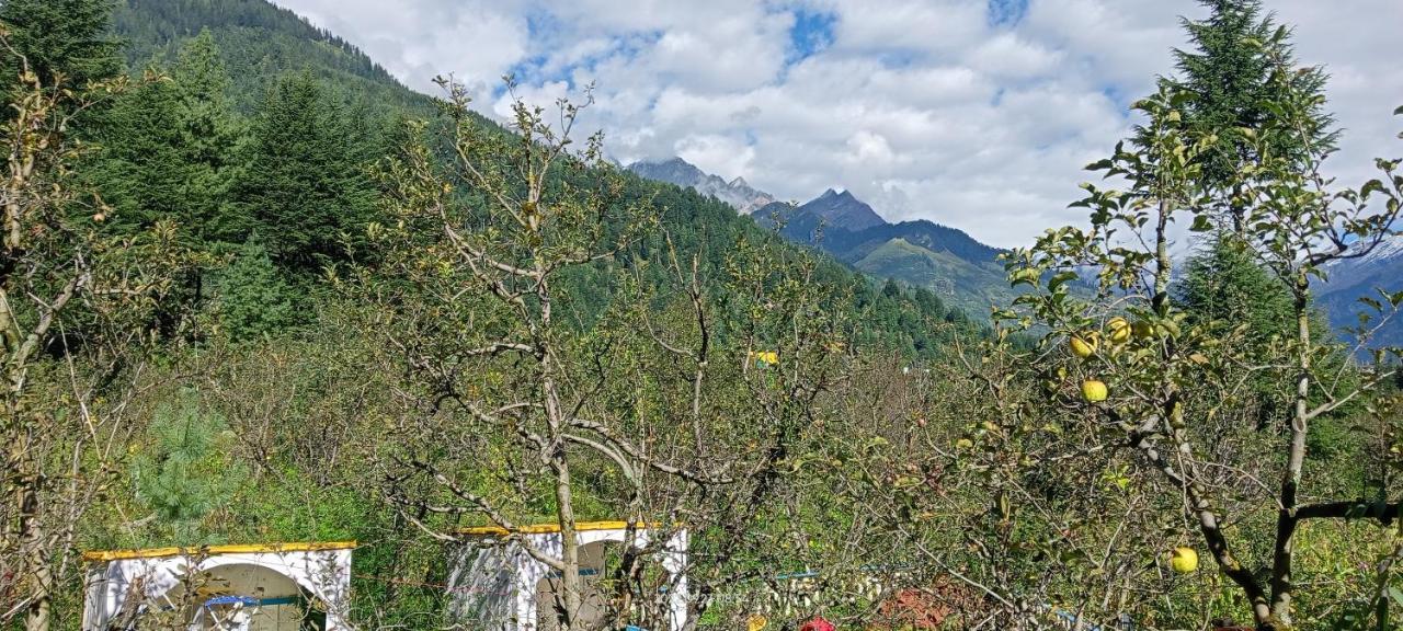 Apple Flower With Balcony And Mountain View Lodge