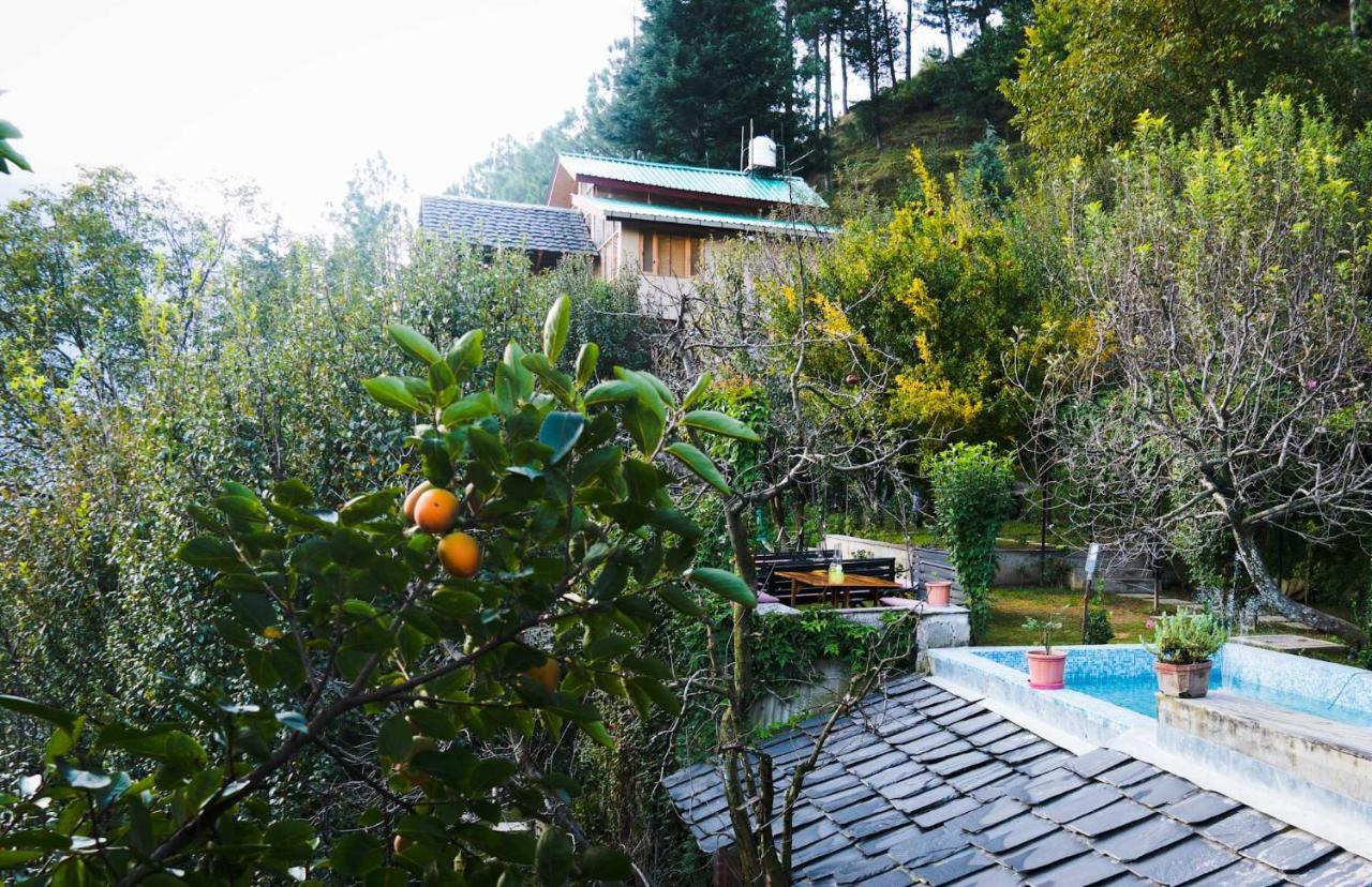 Lodge Autumnred Manali (Himachal Pradesh)