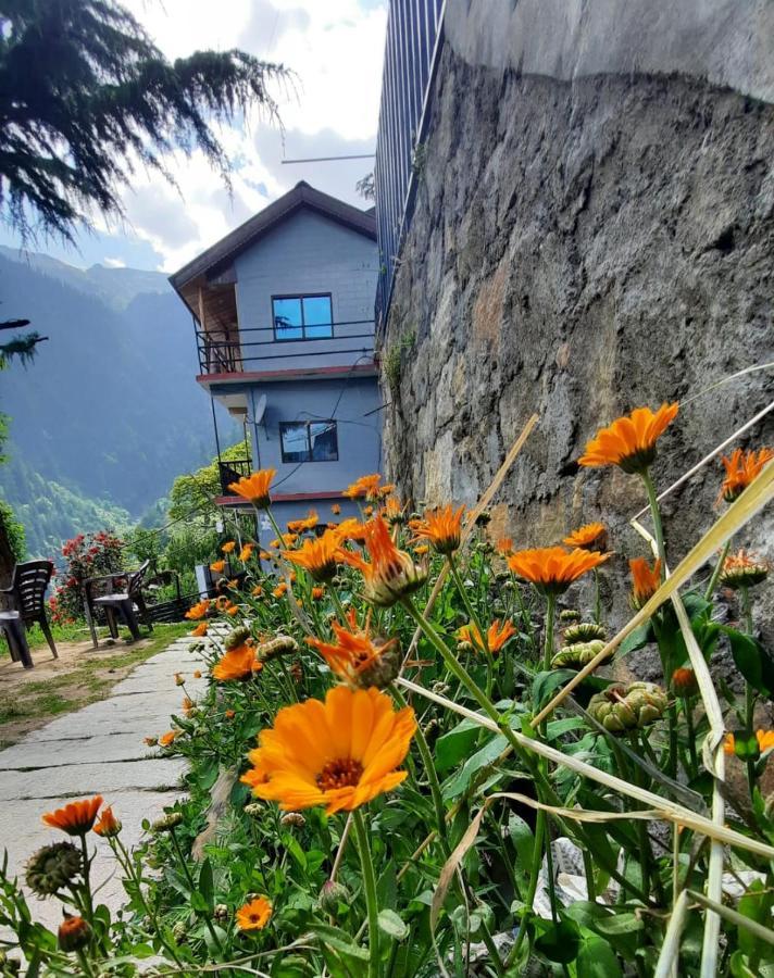 Karmic Stays & Cafe Manali (Himachal Pradesh)