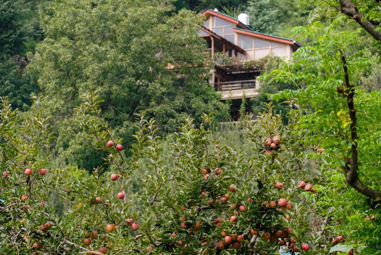Lodge Autumnred