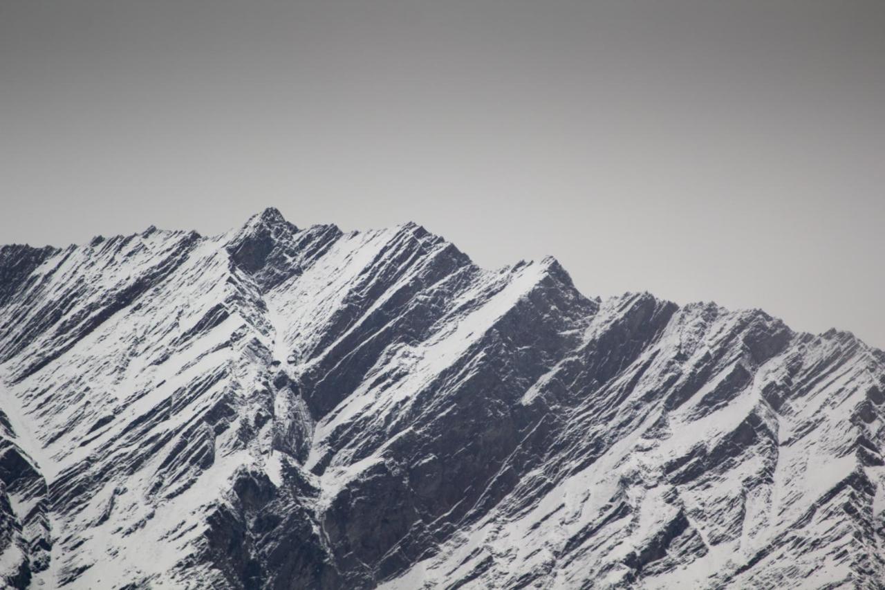 The Homstel * Manali (Himachal Pradesh)
