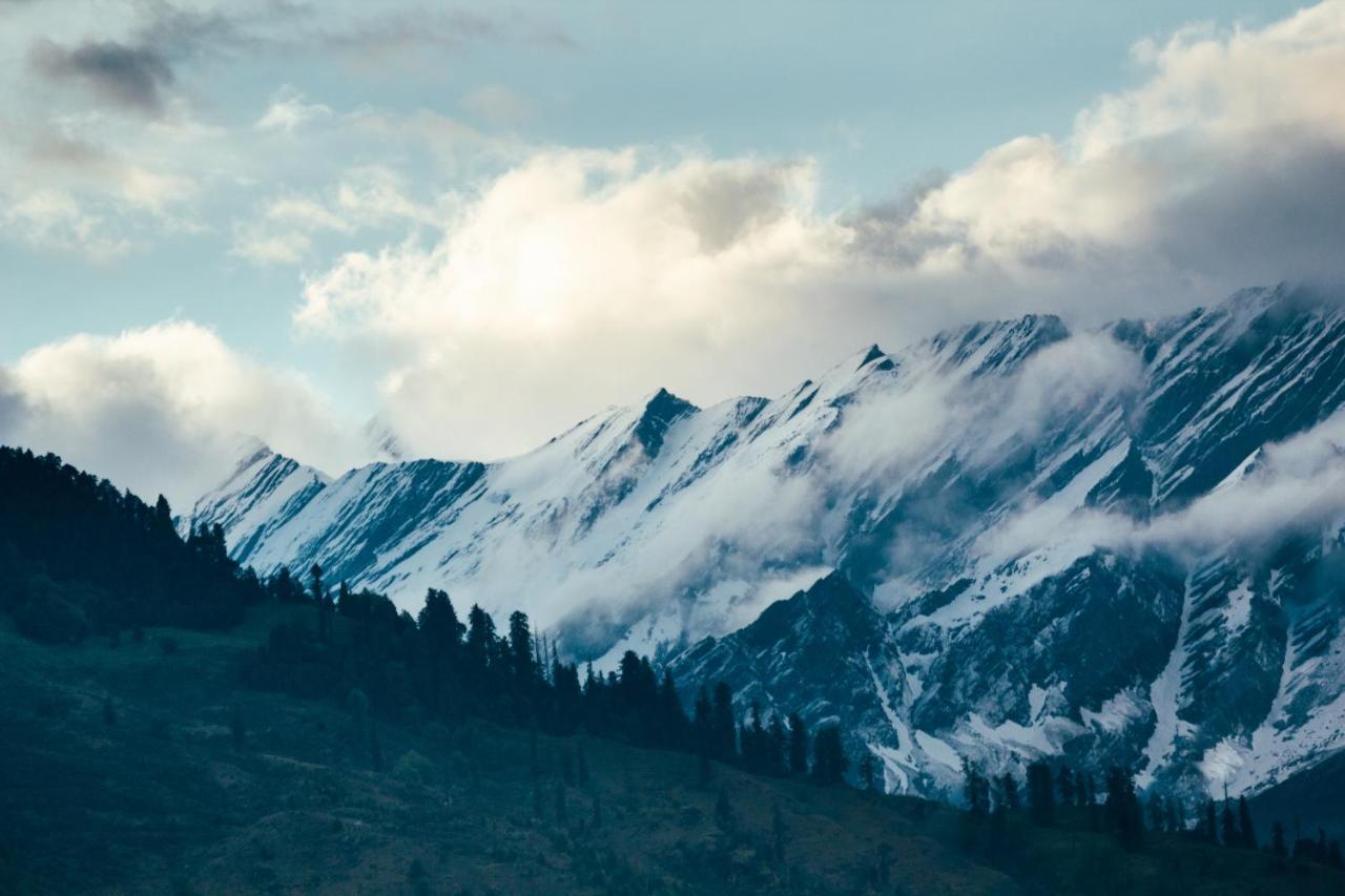 Hostel The Homstel Manali (Himachal Pradesh)