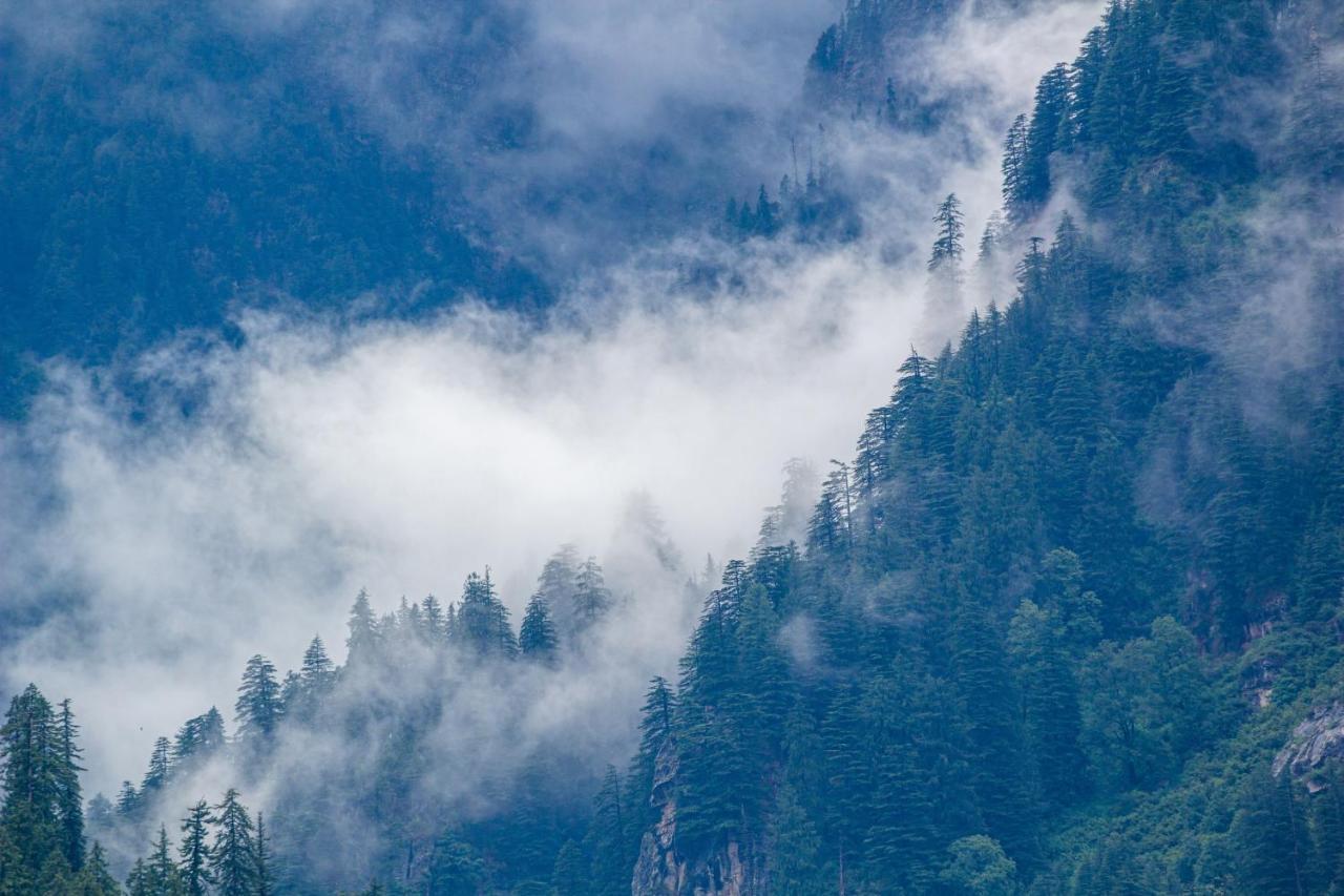 Hostel The Homstel Manali (Himachal Pradesh)
