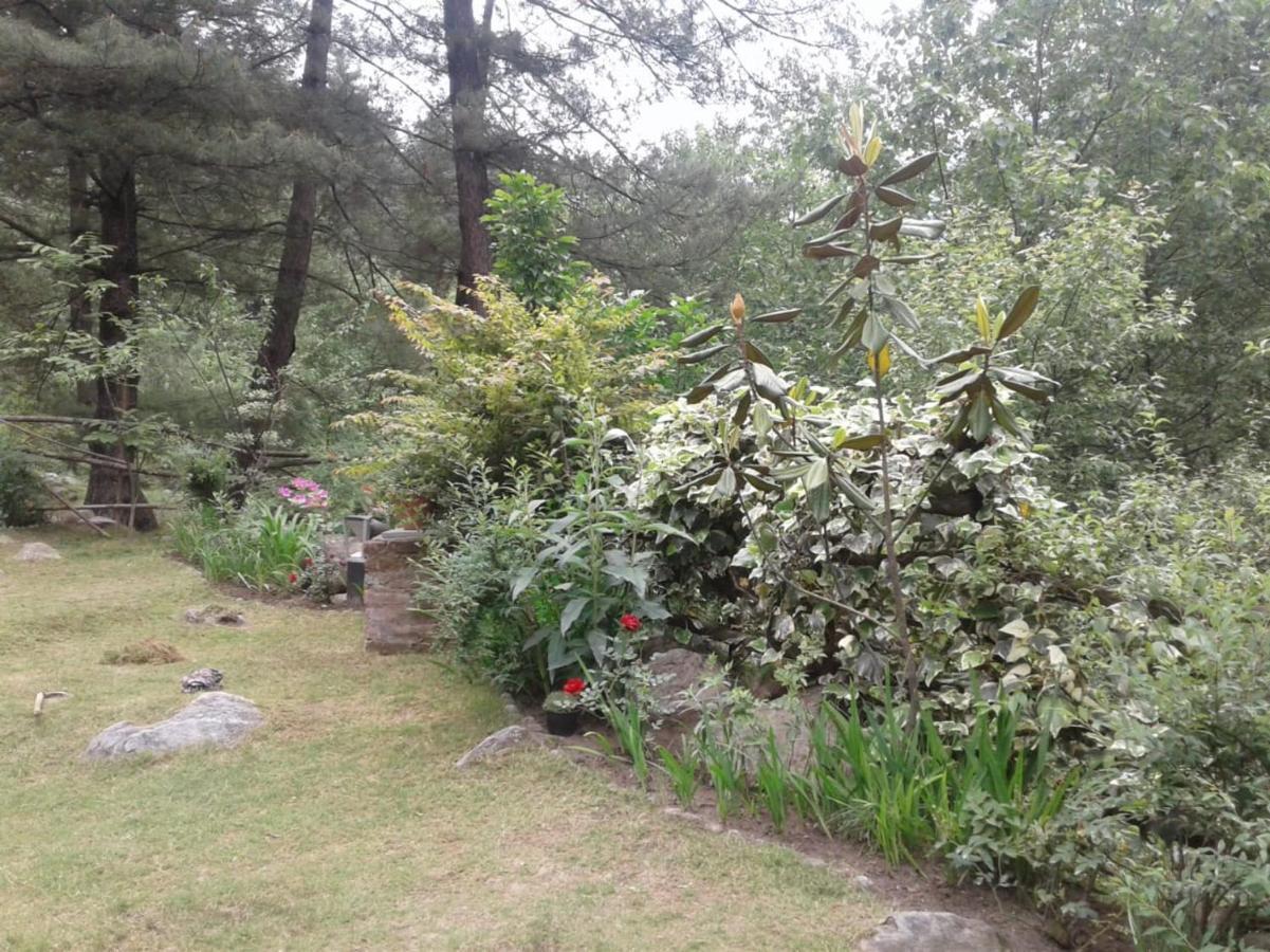 Tall Trees Hotel 4*