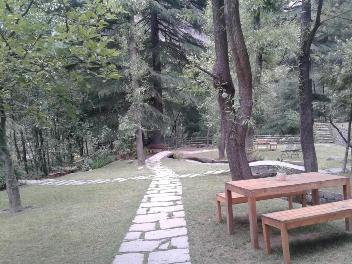 Tall Trees Hotel 4*