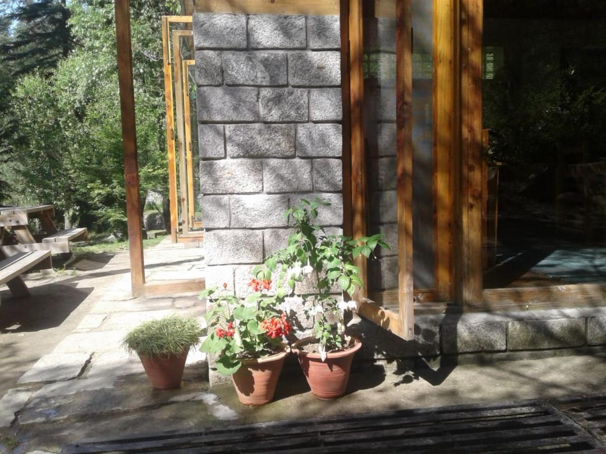 Hotel Tall Trees 4*
