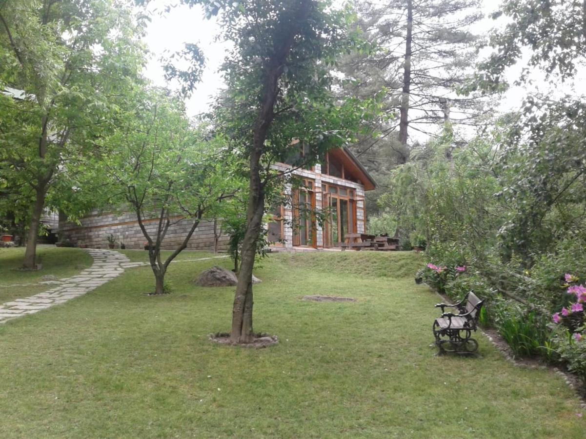 Hotel Tall Trees Manali (Himachal Pradesh)