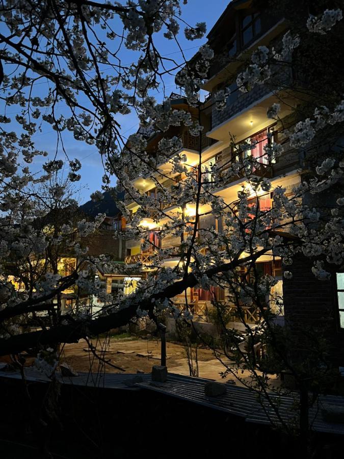 Hostel Yolo Backpackers -