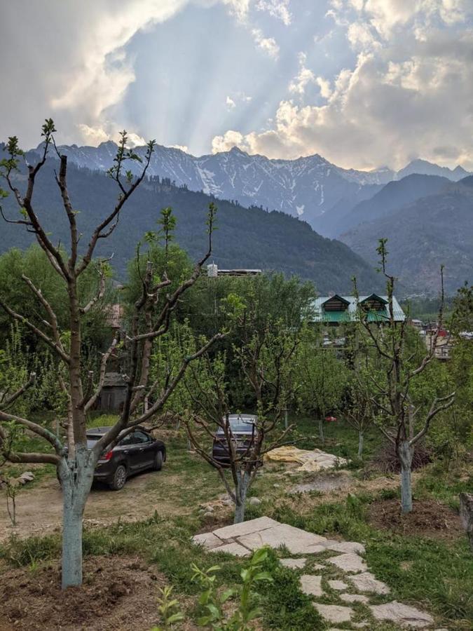 Jogini High Mount * Manali (Himachal Pradesh)