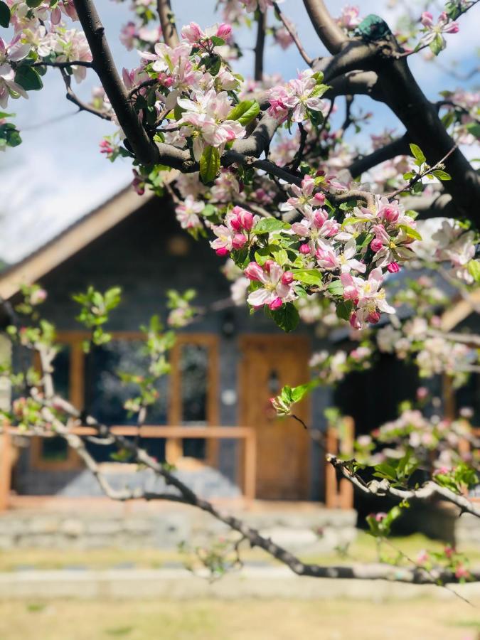 Winterfell The Stay, Unique River Front Resort Manali (Himachal Pradesh)