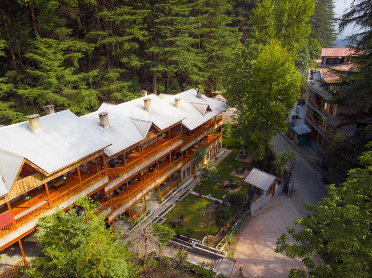 Negi's Mayflower A Heritage Since 1965