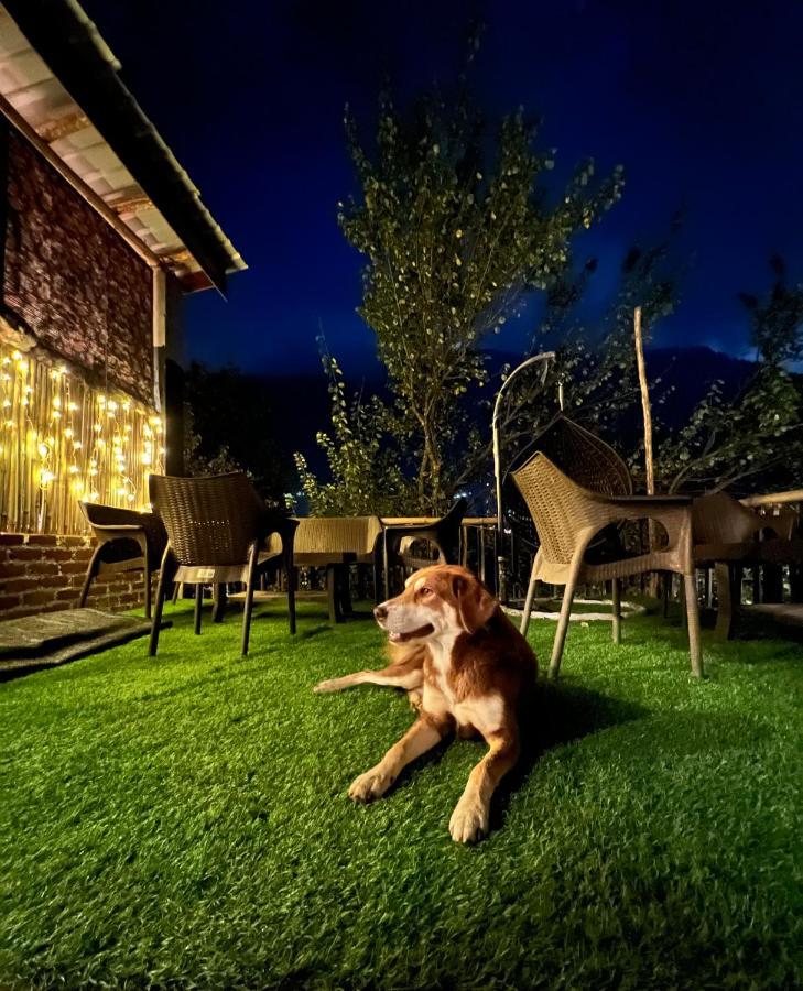 Hostel Roamate Hostel, Old Manali (Himachal Pradesh)