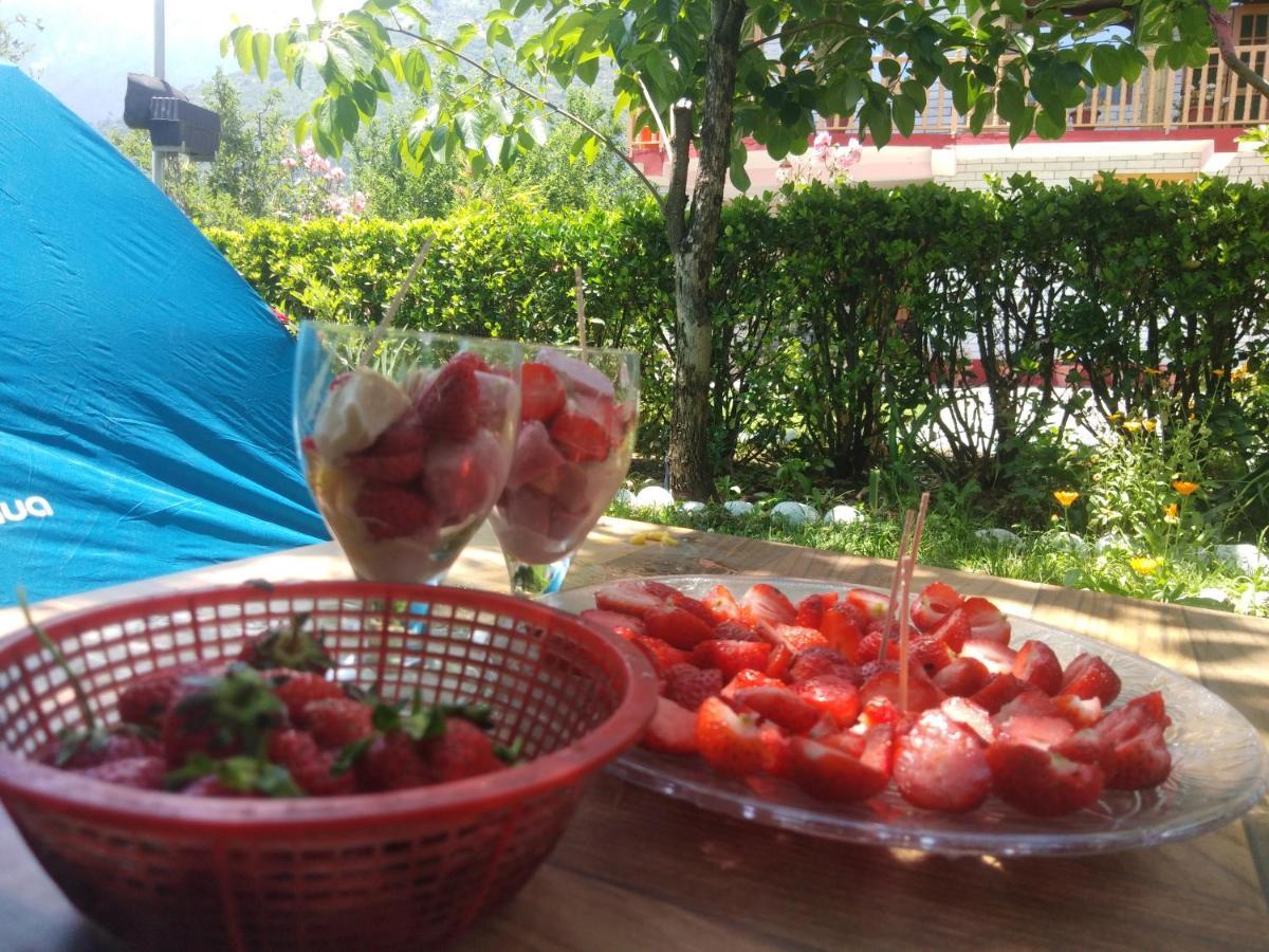Homestay Rangri Homestead - A Boutique *