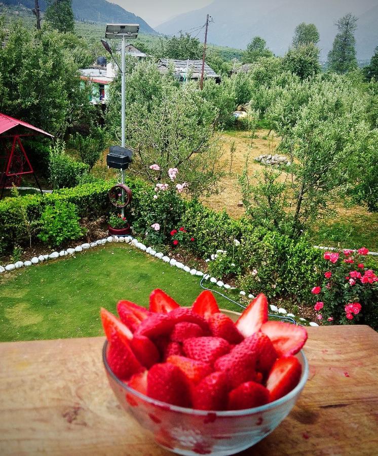 Rangri Homestead - A Boutique Homestay