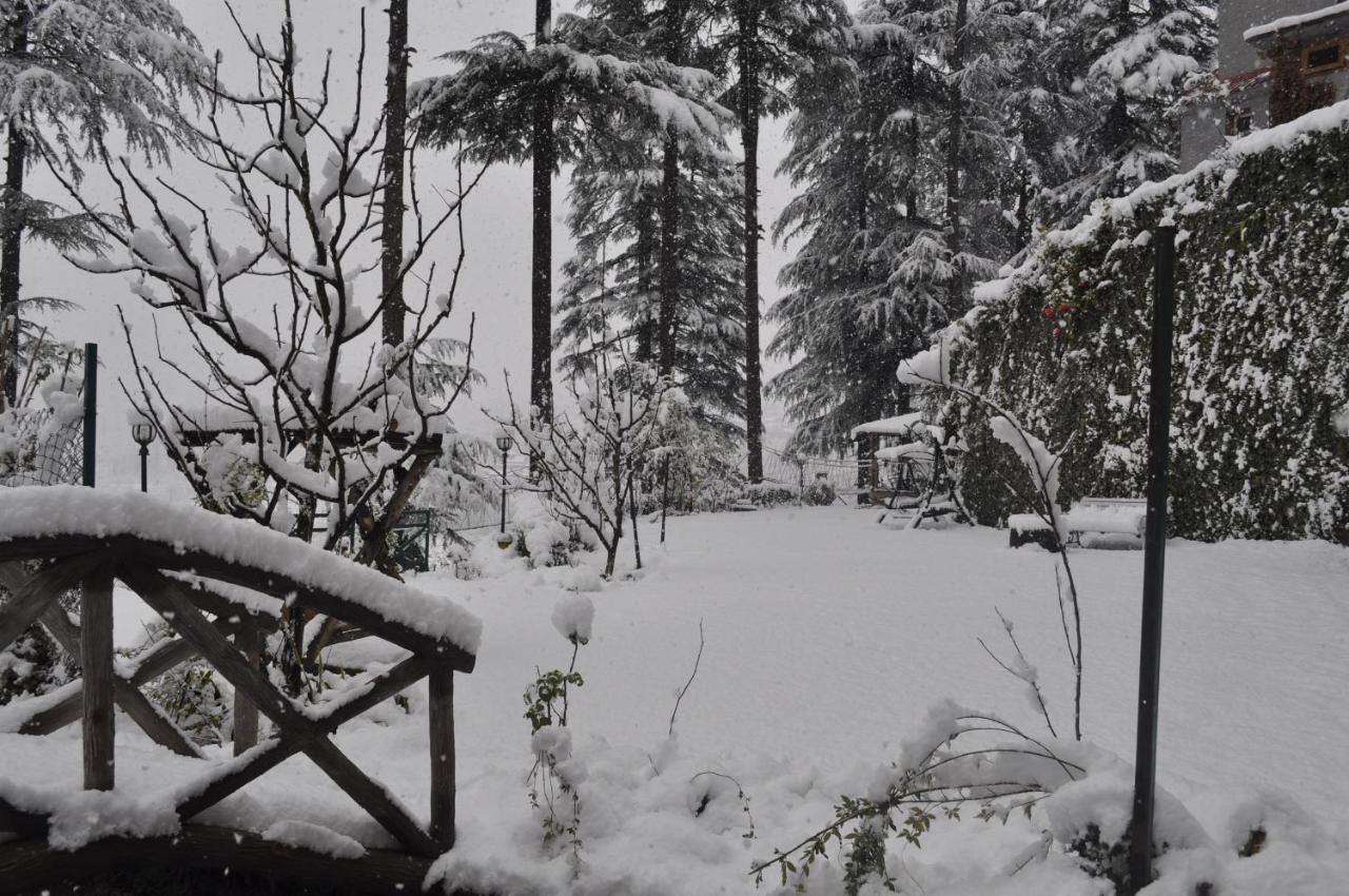 Pause By The Woods Resort