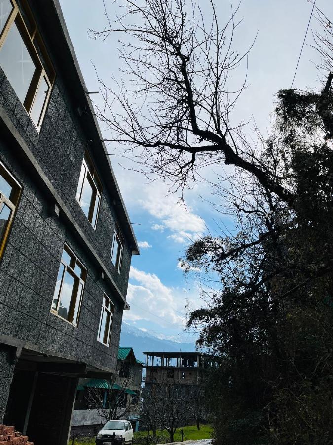 Mad Monkeyss Manali (Himachal Pradesh)