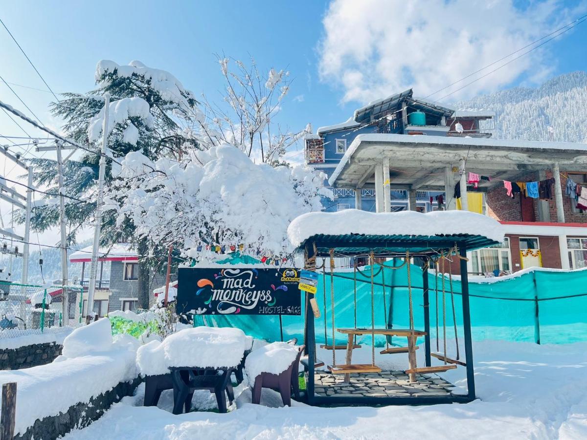 Mad Monkeyss Hostel Manali (Himachal Pradesh)