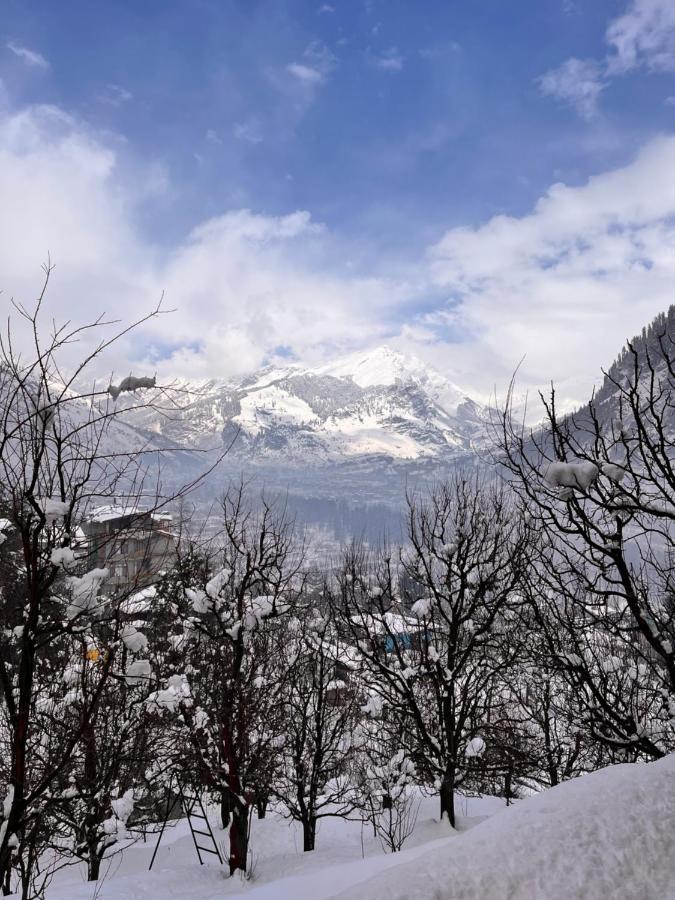 Hostel La Heim Manali (Himachal Pradesh)