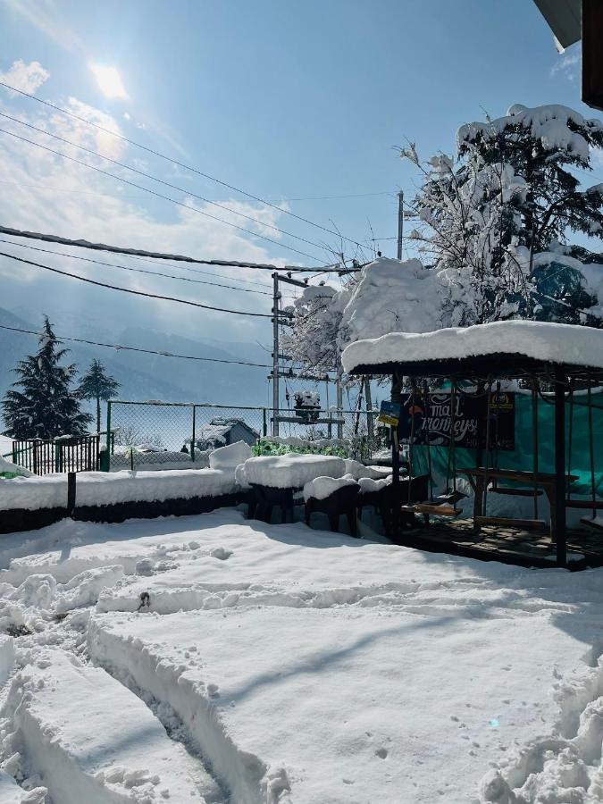Mad Monkeyss Manali (Himachal Pradesh)