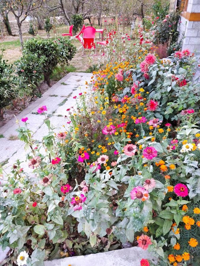Rohtang Guest house Manali (Himachal Pradesh)