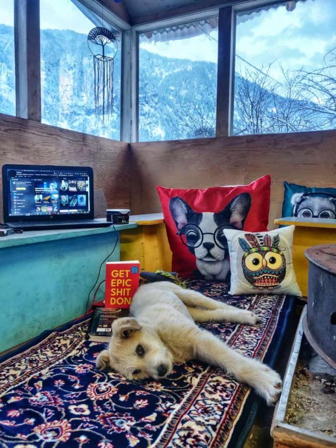 Mars Monkey & Cafe * Manali (Himachal Pradesh)