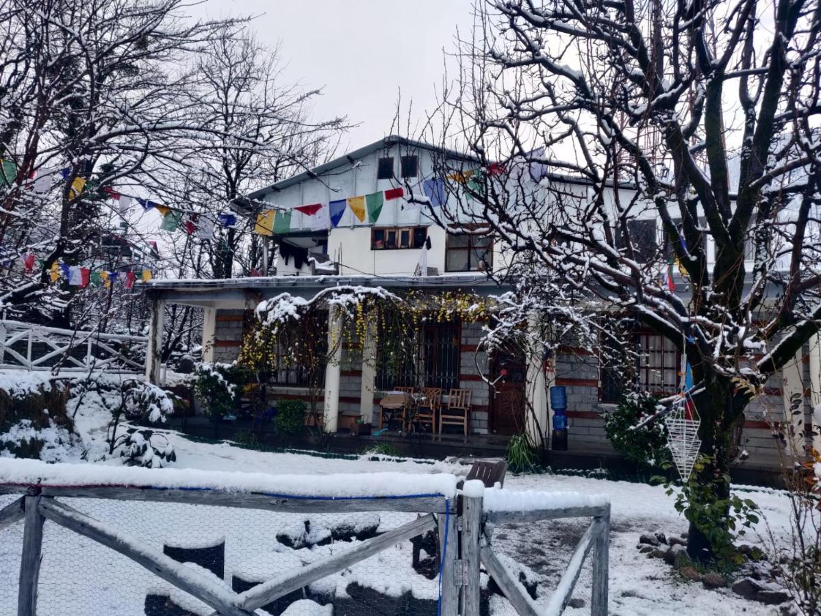 Mars Monkey & Cafe * Manali (Himachal Pradesh)