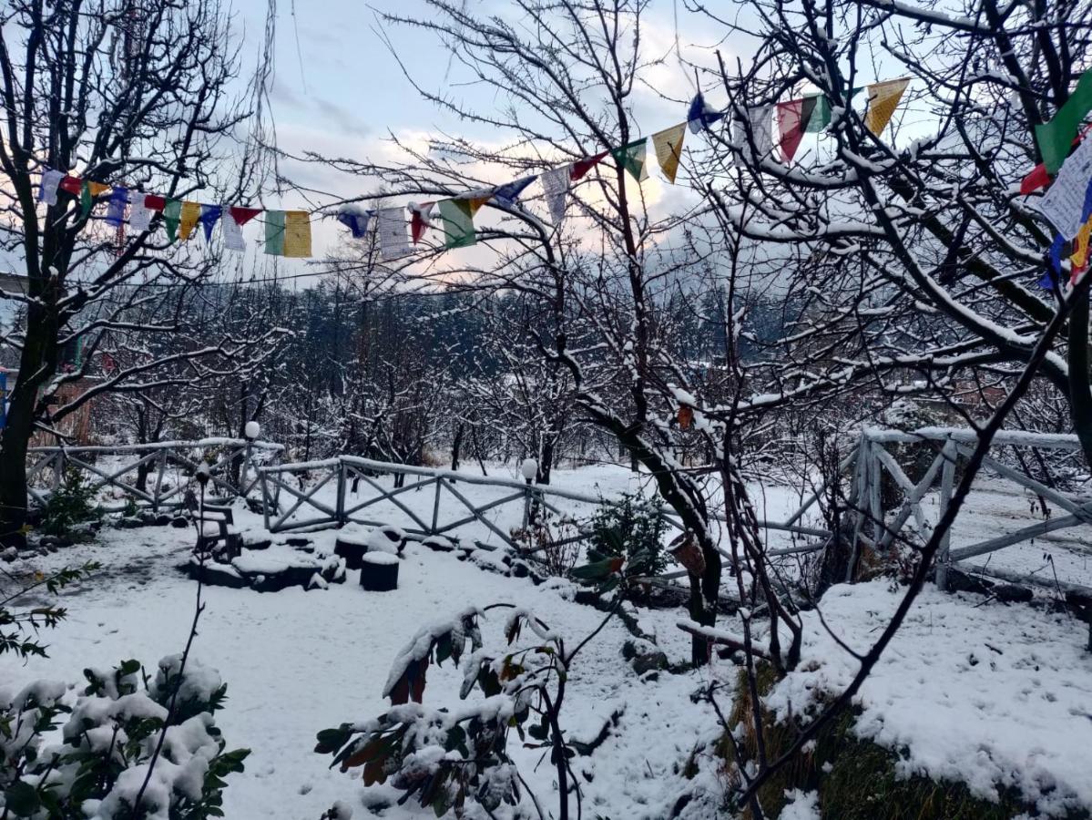 Mars Monkey & Cafe Hostel Manali (Himachal Pradesh)