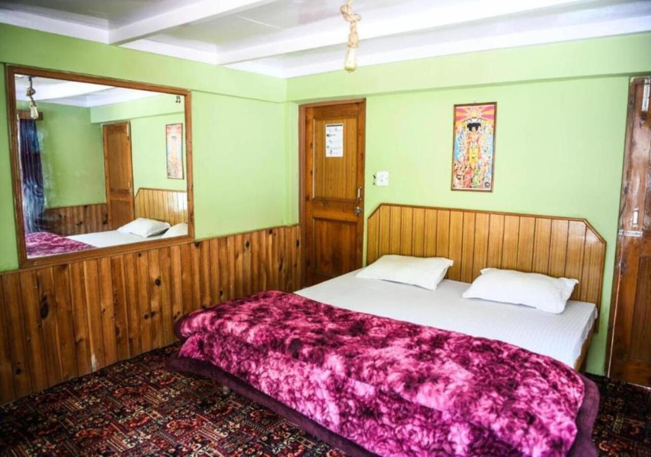 Yolo Backpackers - *
