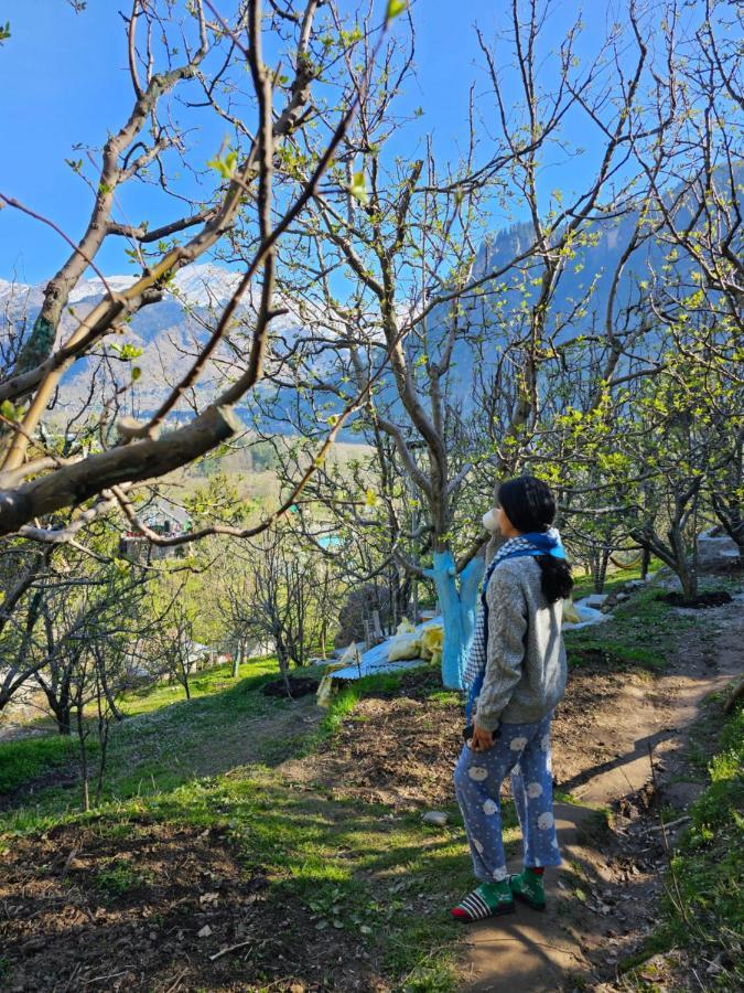 La Heim * Manali (Himachal Pradesh)
