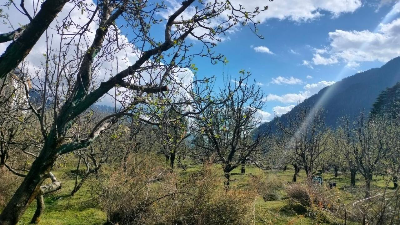 Hotel Apple Manali (Himachal Pradesh)
