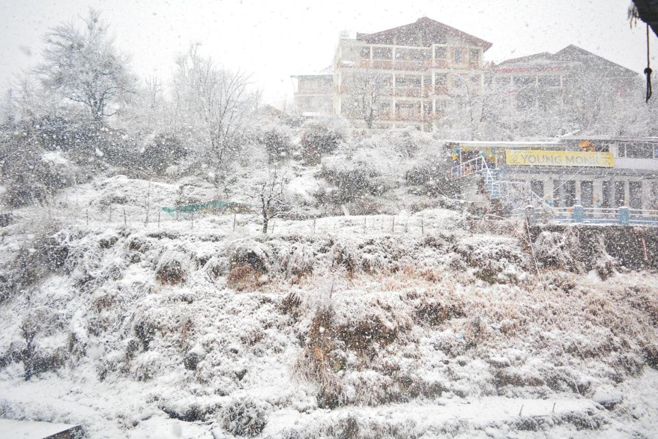 Neelgiri - Diaries