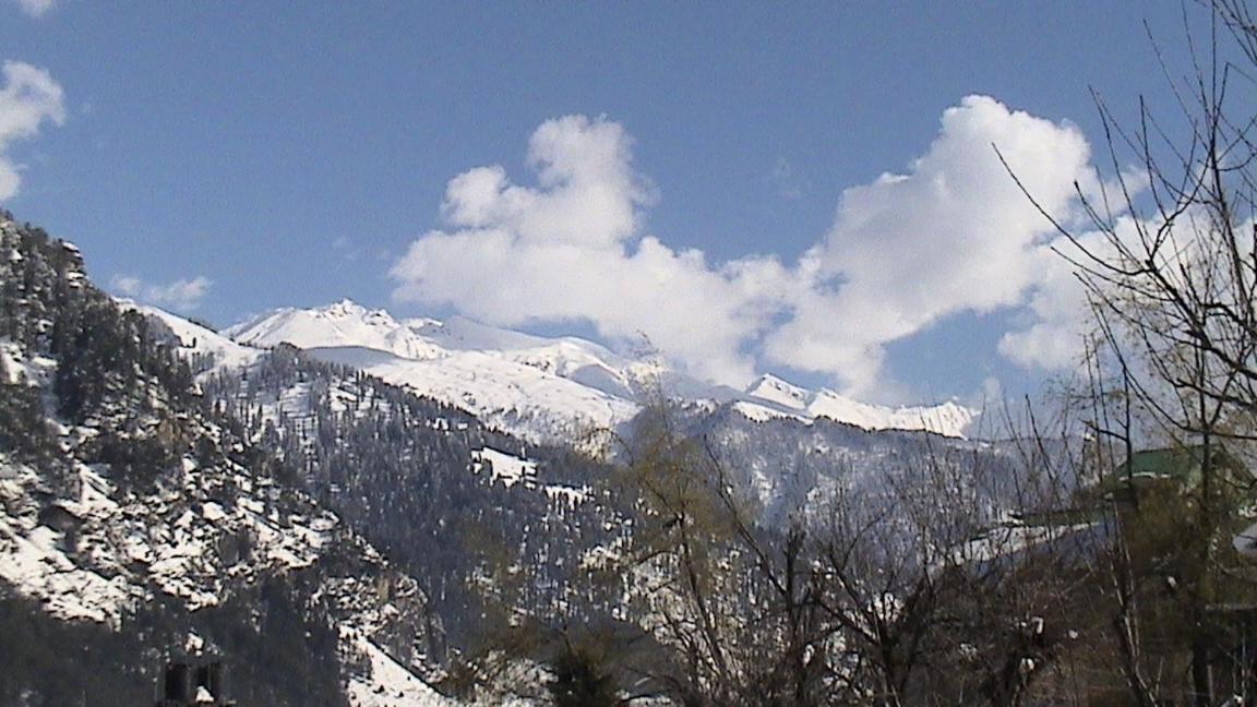 Tourist 10 Minutes Walking Distance From The Mall * Manali (Himachal Pradesh)