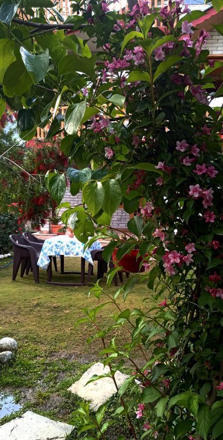 Homestay Rangri Homestead - A Boutique Manali (Himachal Pradesh)
