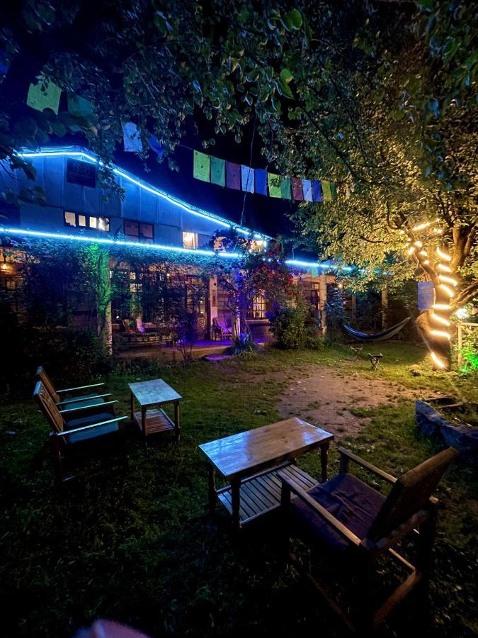 Mars Monkey & Cafe Hostel