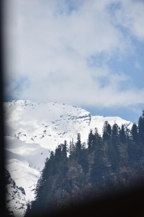 The Journey Homestay Manali (Himachal Pradesh)
