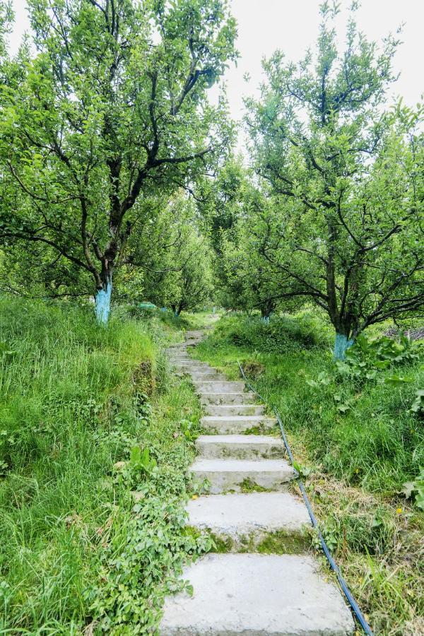 Saffronstays Kesar Villa, - Beautiful Amidst An Apple Orchard - Clear Roads Manali (Himachal Pradesh)