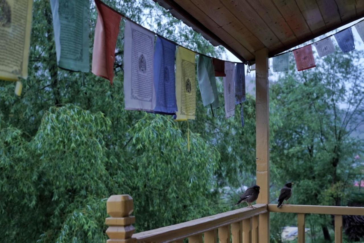 Homestay Off The Cuff Manali (Himachal Pradesh)