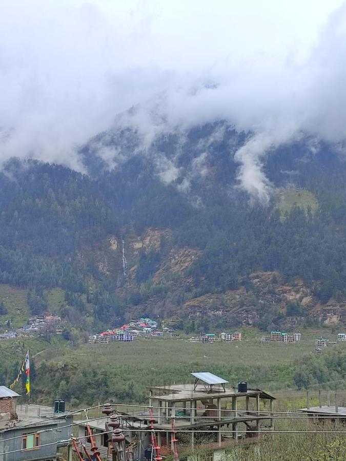 The Perch Manali (Himachal Pradesh)