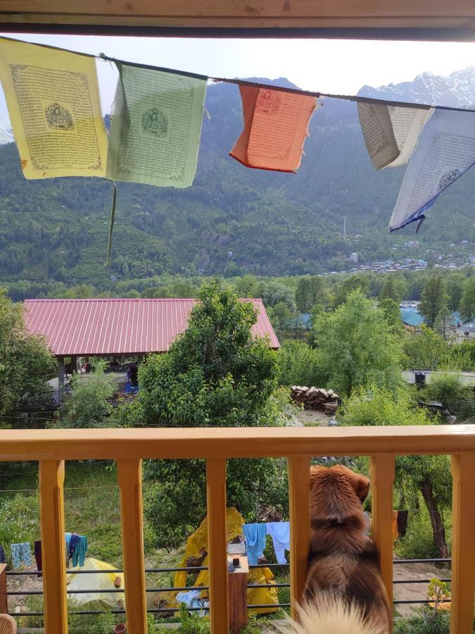 Off The Cuff * Manali (Himachal Pradesh)