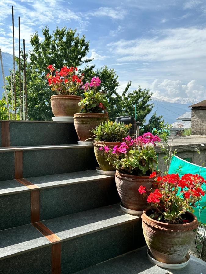 Jal-vayu Cottages *