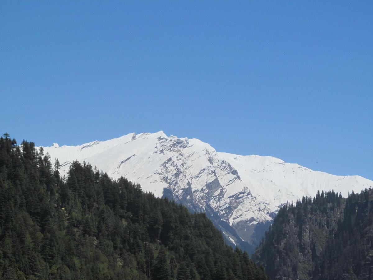 Manali Top Inn
