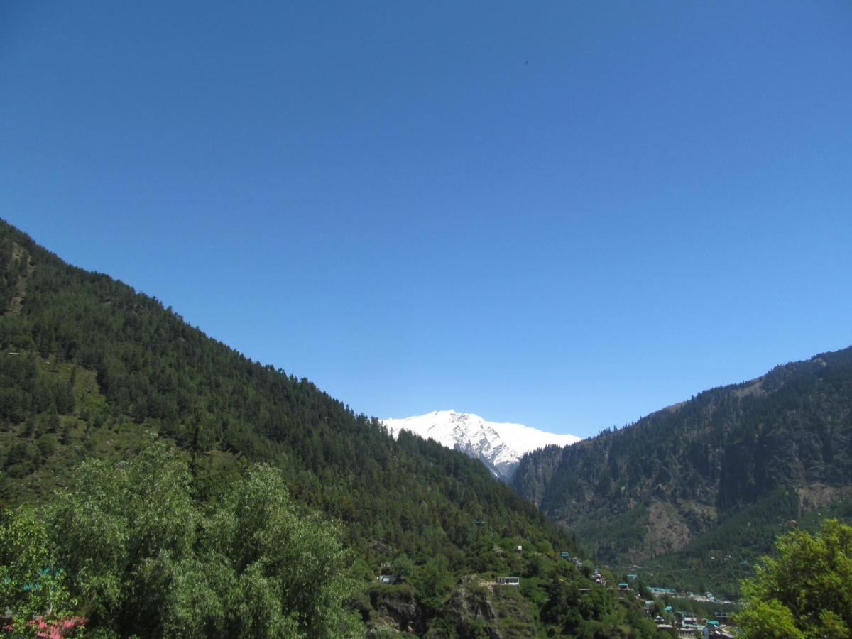 Guest house Manali Top Inn 2*
