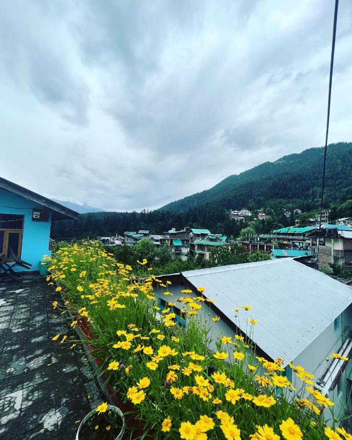 Honey House Hostel