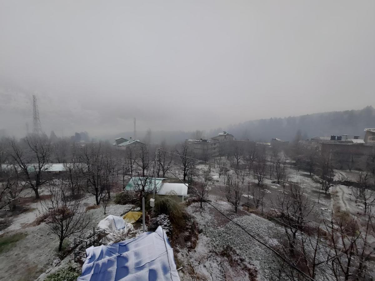 Honey House * Manali (Himachal Pradesh)